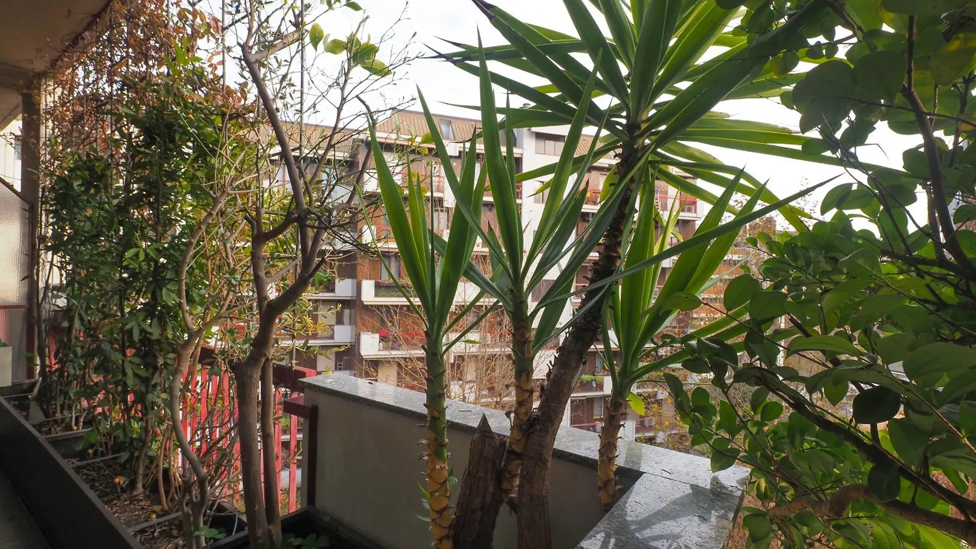 Apartament Primopiano - Ronchi Mediolan Włochy